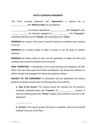 Photo Licensing Agreement Preview