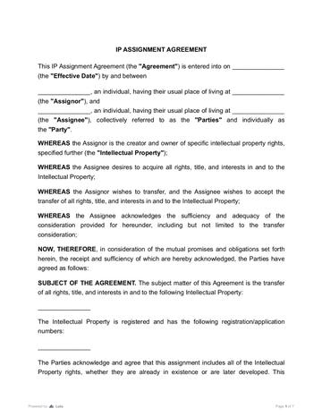 IP Assignment Agreement