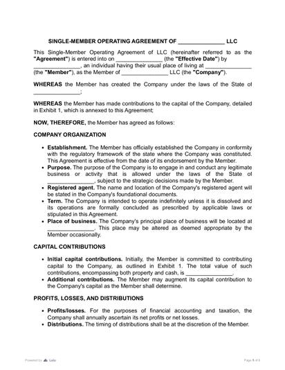 Single-Member LLC Operating Agreement Preview
